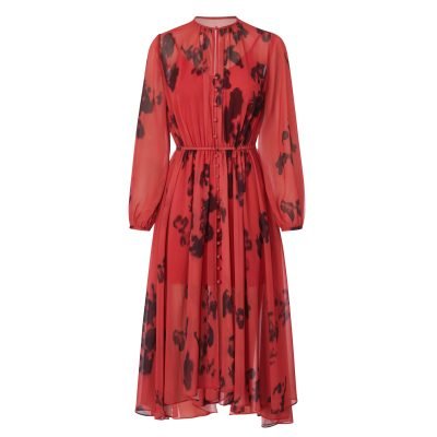Chiffon Dress